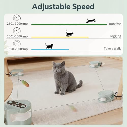 Image of Qpets Interactive Cat Toy with Bird Sound DIY Track Play for Indoor Cats
