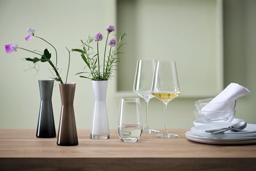 LEONARDO HOME Weißweingläser PUCCINI (6er Set) • Kratzfeste Weingläser (560 ml) • Spülmaschinenfest & Langlebig • Zeitlose Gläser für Weißwein • Modernes Design • Weißwein-Glas Puccini • 069553