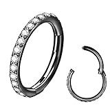 BLESSMYLOVE Clear CZ Nose Rings Hoop 316L Surgical Steel Cartilage Earrings Conch Daith Helix Rook Tragus Lobe Snug Body Piercing Jewelry 20G 18G 16G Stainless Steel Hinged Segment Rings Lip Rings