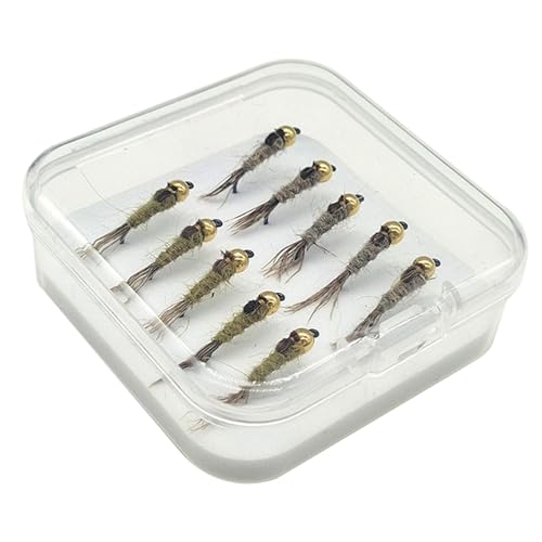 n 10x ނ胋A[ނtbNtCtBbVOA[bhACoXtOނpi, 14mm×5mm