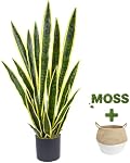 Warmplants Plante artificielle de serpents, 3ft Faux Sansevieria avec Panier, 35" Fausse mère en droit plantes, Faux parfaits pot de plantes Greenery pour la maison intérieure de bureau magasin de décoration réaliste (jaune)