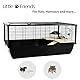 Little Friends Grosvenor Rat and Hamster Cage with Wooden Shelf and Ladder, Large, 78 x 48 x 36 cm, Black