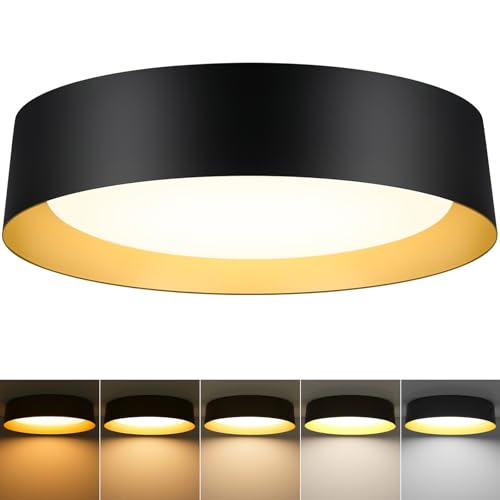Image of Flush Mount Ceiling Light, 16in Modern Ceiling Light 5 Color Temperature