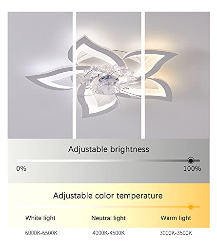 Ventilateur de plafond avec éclairage télécommande suspendue