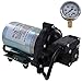 Shurflo 2088-394-144 Automatic-Demand 115 VAC Diaphragm Pump with 100 PSI Pressure Gauge (Bundle, 2 Items)