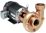 AMT Pump 3152-95 Heavy Duty Straight Centrifugal Pump, Cast Iron, 5 HP, 3 Phase, 230/460V, Curve C, 2' NPT Female Suction, 1-1/2' NPT Female Discharge Port