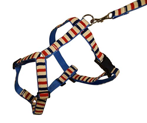 Replacement For GARMIN PRO 70 DOG TRAINING by Technical Precision