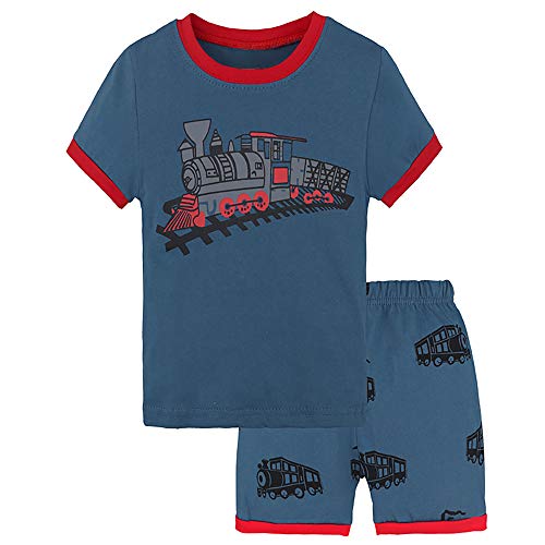 Boys Summer Pajamas Short Sleeve T-Shirts and Shorts Sleepwear Sets