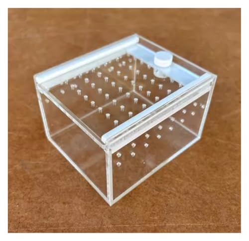 昆虫飼育箱 爬虫類用アクリル製給餌ボックス 昆虫飼育ケース クモ用テラリウムケース 爬虫類テラリウム
