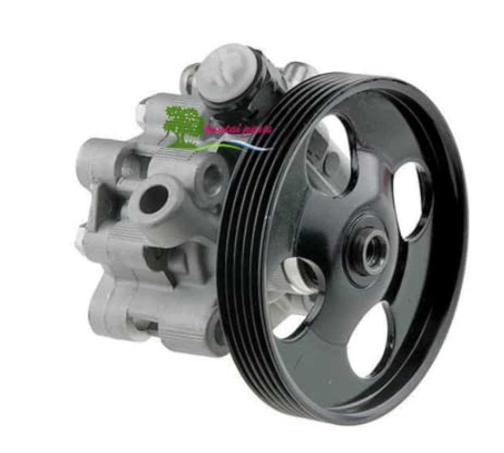冷凍PL10 F10 H20 S10 SM10 Quanxing Power Steering Pump 44310-Ew021/7077955658 for Hino