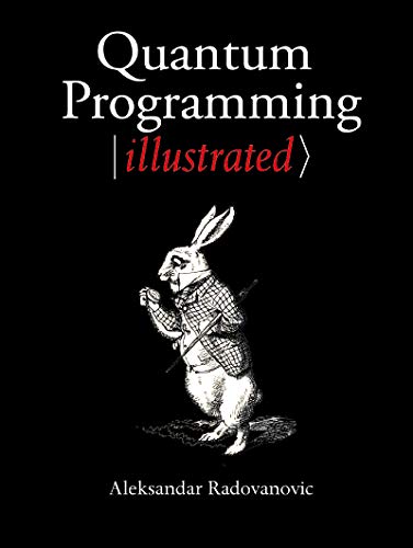 Quantum Programming Illustrated (English Edition) Livre eBook France