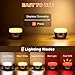 Sinvitron LED Camping Lantern Rechargeable,Tent Lights with Remote Control,1000LM Up to150H Running,5200mAh Camping Light, Emergency Light for Hurricane,Power Outages,Outdoor, Hiking, Home,Fishing
