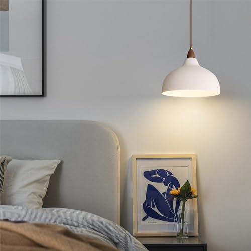 Lampe à suspension avec base E27 et dôme métallique style industriel