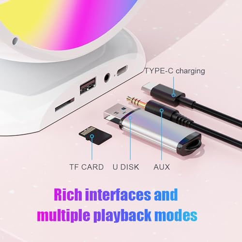 Machine de karaoké portable Bluetooth rechargeable avec de magnifiques effets d'éclairage RGB