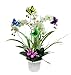 ELLASSAY coisound 1688 Orchid Breathable Slotted Clear Plastic Pot - Growers Assortment (10 pots - Two of Them are 4