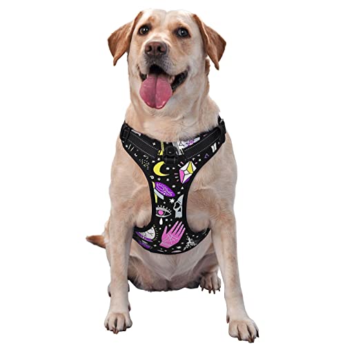Harnais pour chien ajustable réfléchissant imprimé dessin - 2