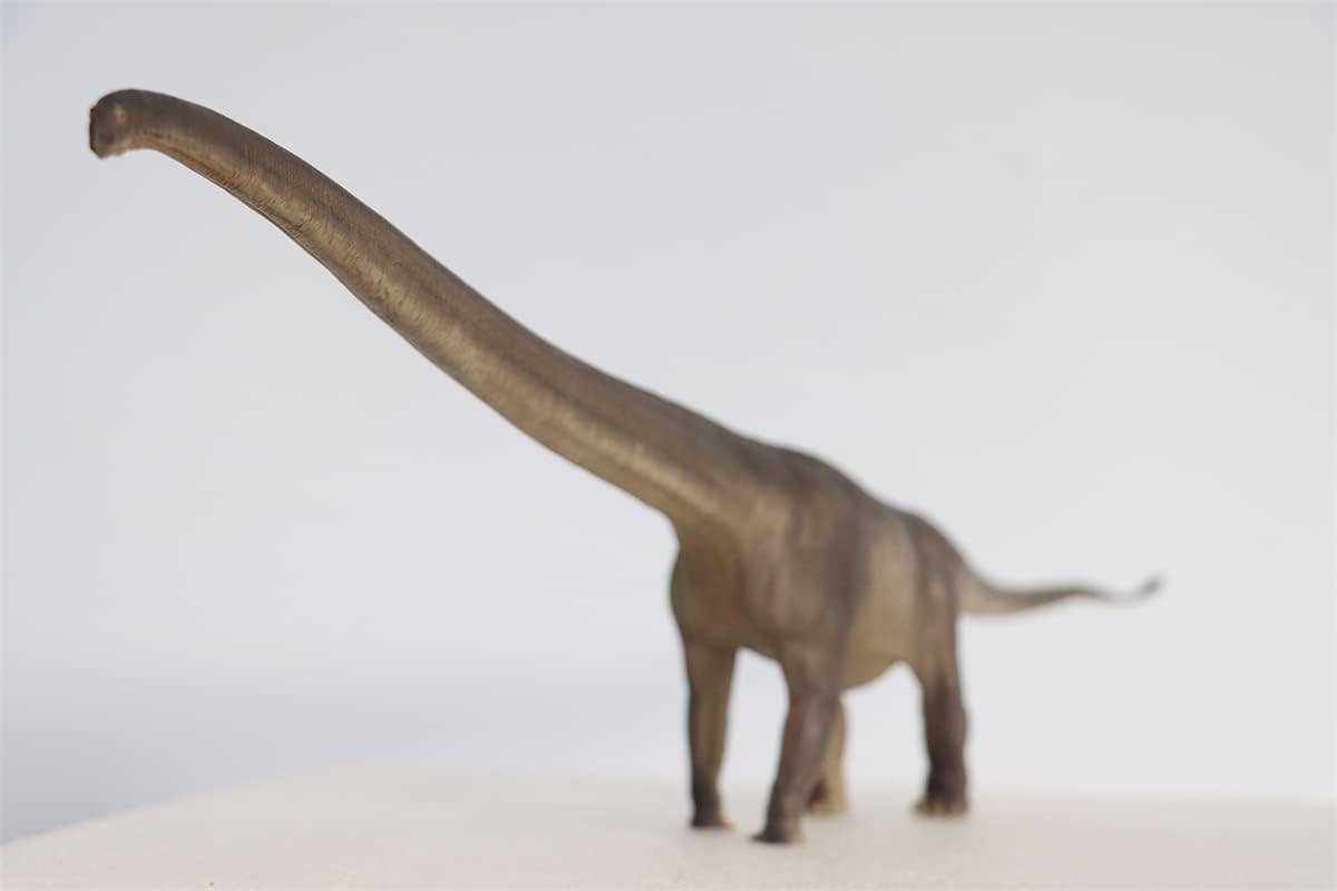 PNSO 1:45 Mamenchisaurus ER-MA Figure Realistic Prehistoric Sauropoda Animal PVC Collector Toys Mamenchisauridae Dinosaur Art Model Decoration Gift for Adult