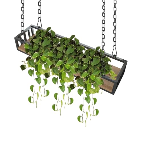 Étagère suspendue au plafond en bois massif pour plantes