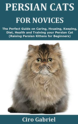 buy persian cat