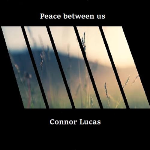 Peace Between Us artwork by Connor Lucas