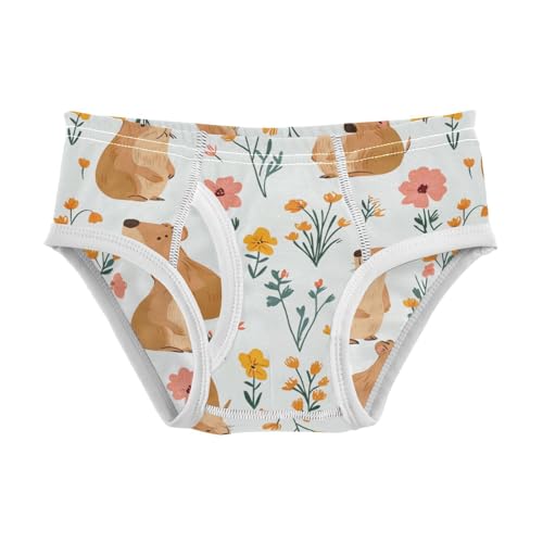 Wusikd Cute Capybaras Boys' Underwear Cotton Flowers Boys Briefs Soft Toddler Underwear 2T