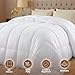 Utopia Bedding Twin Comforter Duvet Insert, Quilted White Comforter with Corner Tabs, Box Stitched Down Alternative Comforters Twin Size 64 x 88 inches