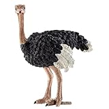 MOUNTTU Jouets Animaux, Figurines d'autruche réalistes, Jouets éducatifs détaillés pour garçons et Filles, Animaux imprimés en 3D.