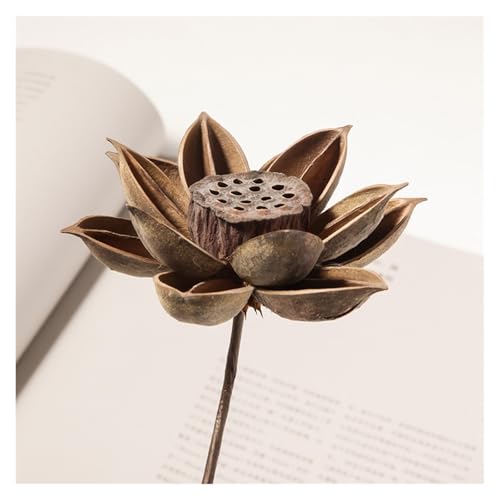 Ramo de Flores Secas Natural Estilo Wabi-sabi miniatura 5