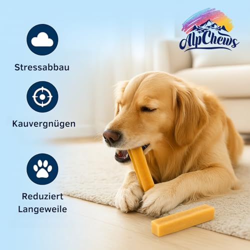 Alp Chews Hartkäse für Hunde – Extra Large 2 Stück – Natürlicher Kauknochen – Kaukäse zur Zahnpflege & Langen Kaudauer