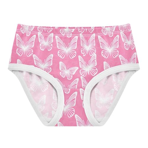 Butterfly Pink Toddler Girls's Underwear 2T 2302881