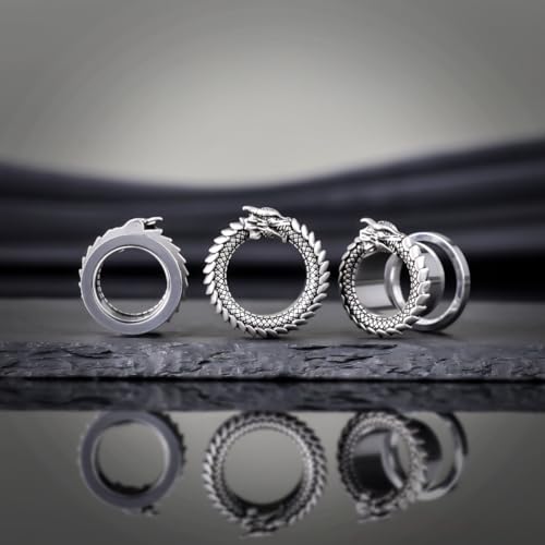 COOEAR Gauges for Ears, Owl Eyelet Tunnels Flesh Earring, Stainless Steel Silver Stretchers.2