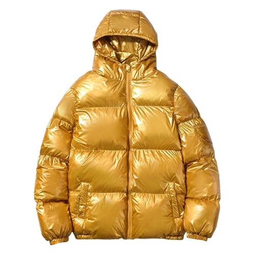Doudoune à capuche métallique homme contre le froid hivernal
