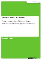 Conservation plan of Hindon River in-between Muzaffarnagar and Ghaziabad 3656821127 Book Cover