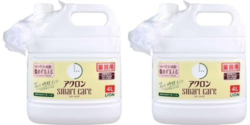 Ɩp ANX}[gPA 􂽂p(ꒅp) 4L (O[VgX×2Zbg)