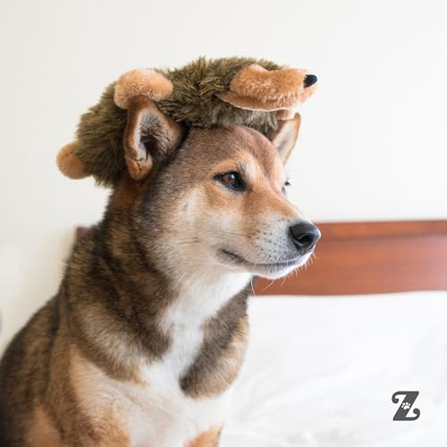 ZippyPaws Loopy – Igel Hundespielzeug – Füllungsfrei, Mit 6 Quietschern, Strapazierfähiges Plüschspielzeug für Kleine bis Große Hunde, Interaktives und Kuscheliges Spielzeug für Haustiere