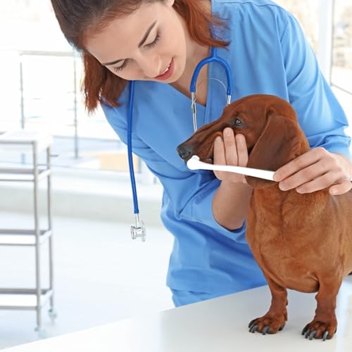 Image of 8pcs Dog Toothbrush-3 Styles Soft Bristle Small Cat Toothbrush,Cats & Small Breed Dogs, Portable Travel Friendly and Easy to Use,Reduce Plaque Tartar Formation & Bad Breath