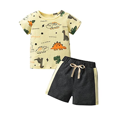 Derouetkia Baby Boy Clothes Short Sleeve Dinosaur Animal Print Tops + Shorts Toddler Outfit Sets, Beige, 2-3 Years