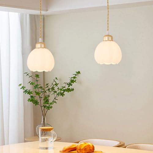 Lámparas colgantes nórdicas para mesa de comedor y barras de bar modernas 4