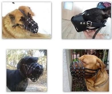 muzzle for dogue de bordeaux