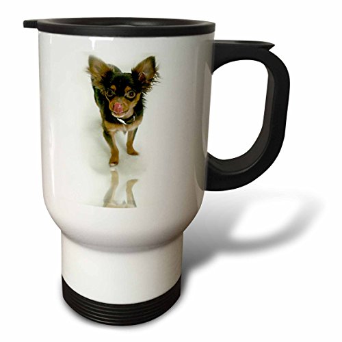 3dRose Bernese Mountain Dog Travel Mug, 14-Ounce, Stainless Steel
