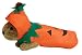 Marshall Pet Products Pumpkin Costume, One Size