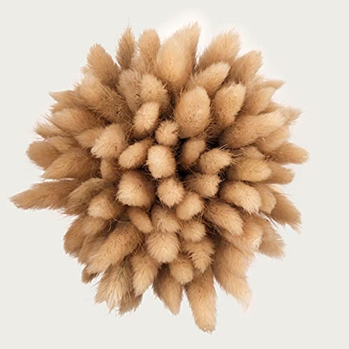 Bouquet pampas de table : 50 queue de lapin séchée pour centre de table - 3