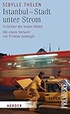 Istanbul - Stadt unter Strom: Gesichter der neuen Türkei: Gesichter der neuen Türkei. Vorw. v. Feridun Zaimoglu (Herder Spektrum) - Sibylle Thelen Vorwort: Feridun Zaimoglu 