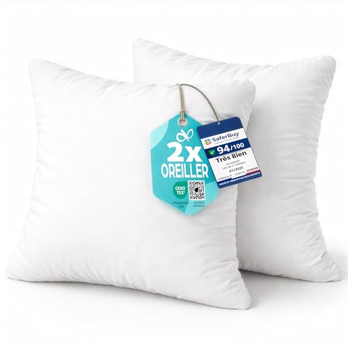 Flowen Coussin Canape 30x30 Lot de 2 Oreillers Decoratif Accessoires pour Sofa Decoration Aesthetic pour Salon et Exterieur Antiallergiques et Anti-Acariens...