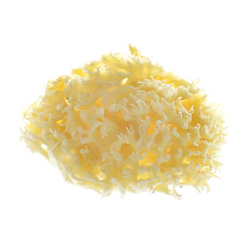 dodie Eponge de Bain Naturelle