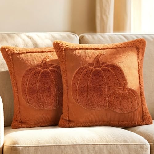 18x18in Embossed Pumpkin Fall Pillow Covers - image 1