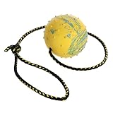 Dingo Waldemar Rutkowski