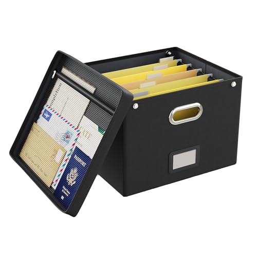 Oterri File Organizer Box with Lid,Large Hanging Filing Box with Mesh Pocket, Document c for Letter Files, Portable Storage Case with Smooth Sliding Rail for Office&Home (1 PCS, Black)