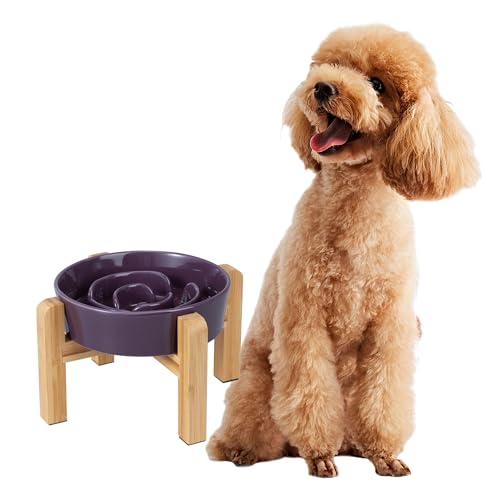 Gamelle anti-glouton design pour le repas des chiens en intérieur