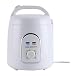 Dampfgenerator für portable Dampfsauna von Chi-Enterprise